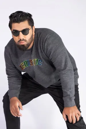 Acoustic Charcoal Embroidered Sweatshirt (Plus Size) - W21 - MSW029P