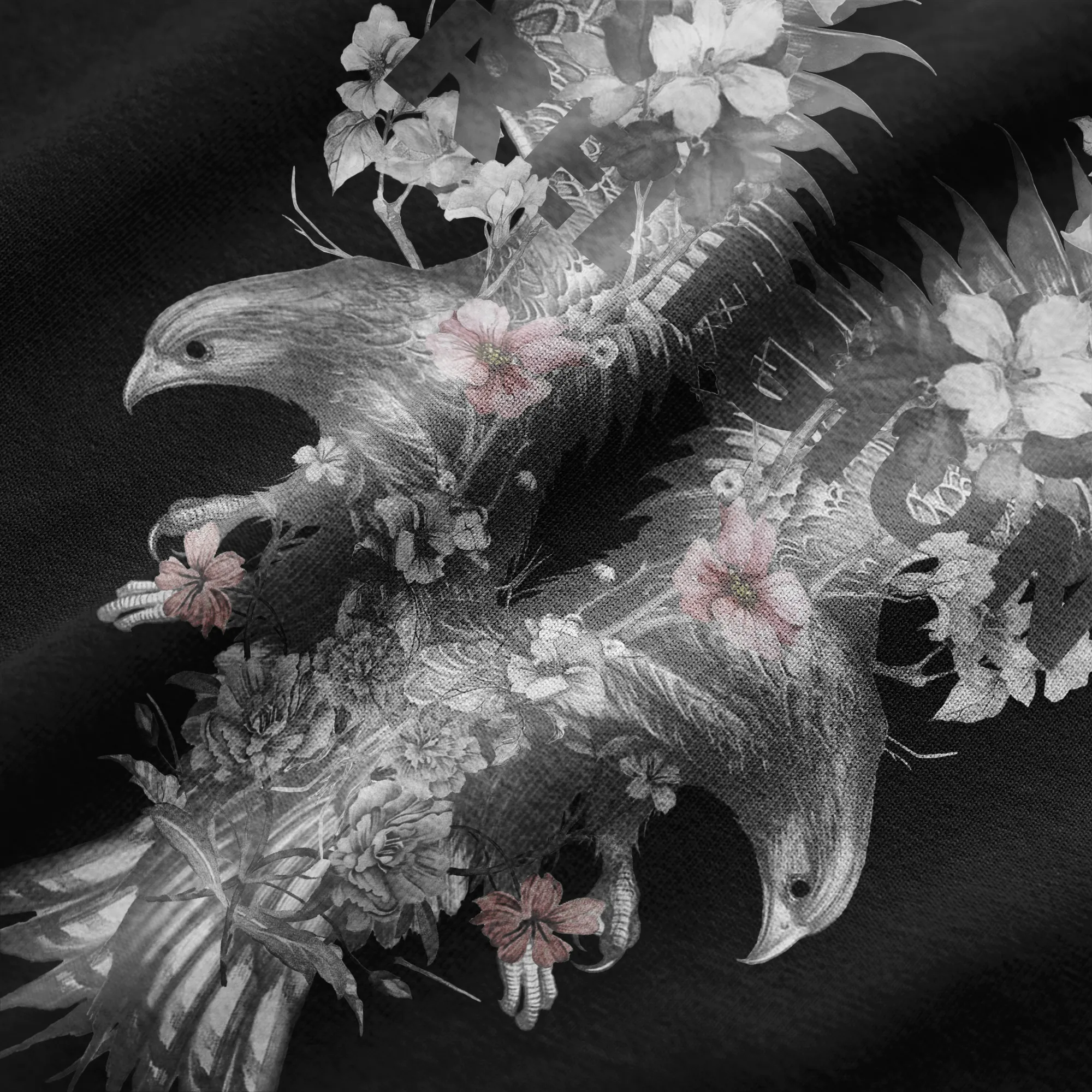 CROW T-SHIRT BLACK