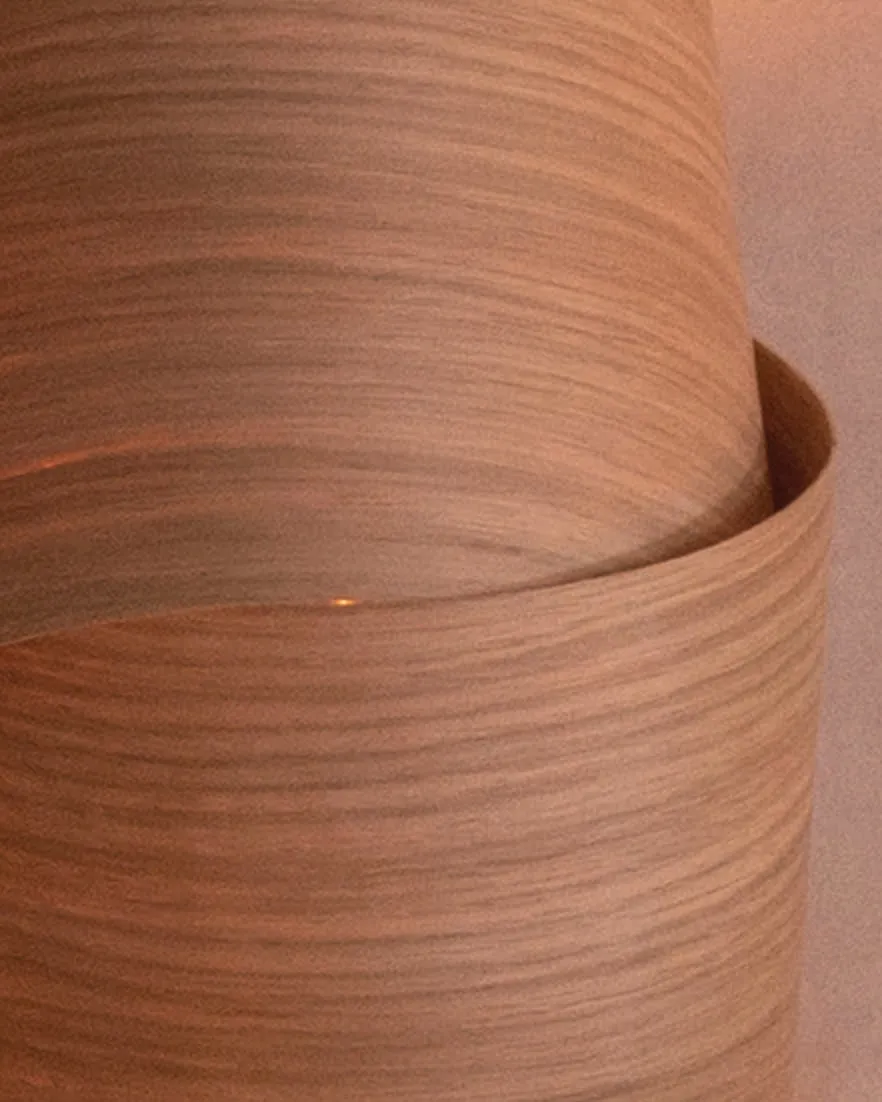 Neap Wall Light